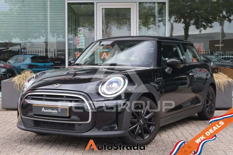 2022 Mini Unknown