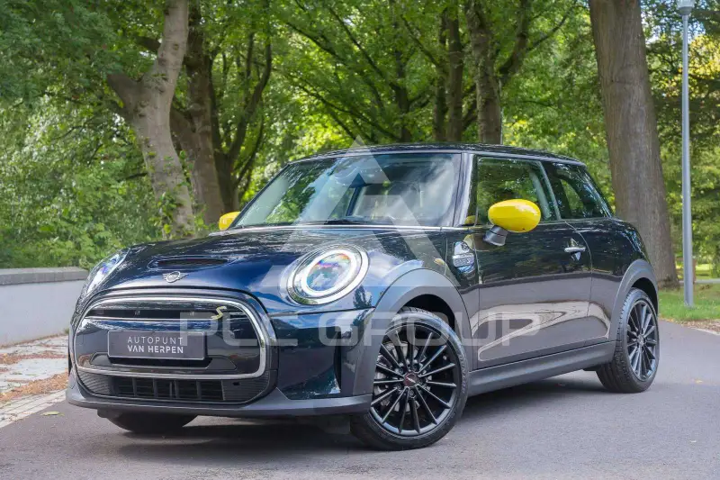 2022 Mini Unknown