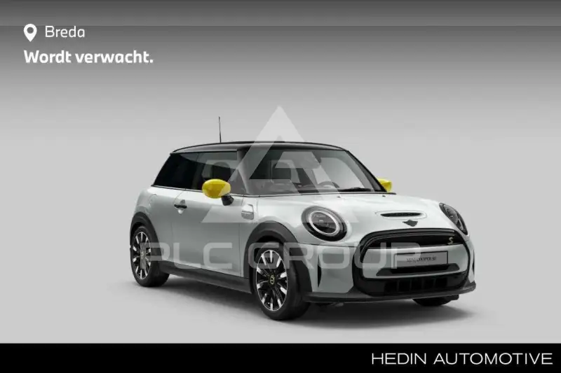 2022 Mini Unknown