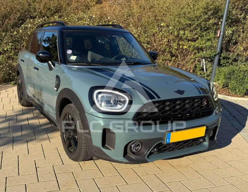 2022 Mini Unknown