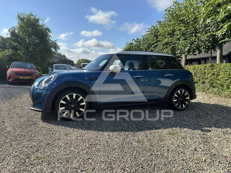 2022 Mini Unknown
