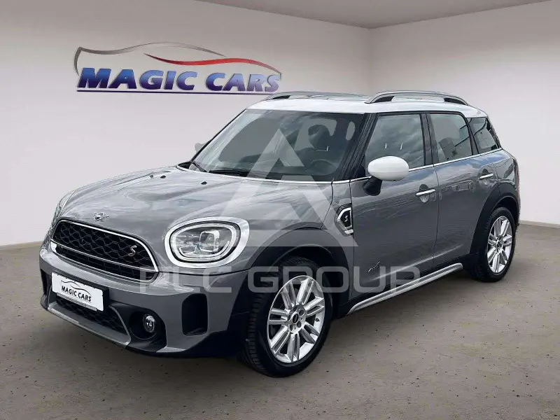 2022 Mini 