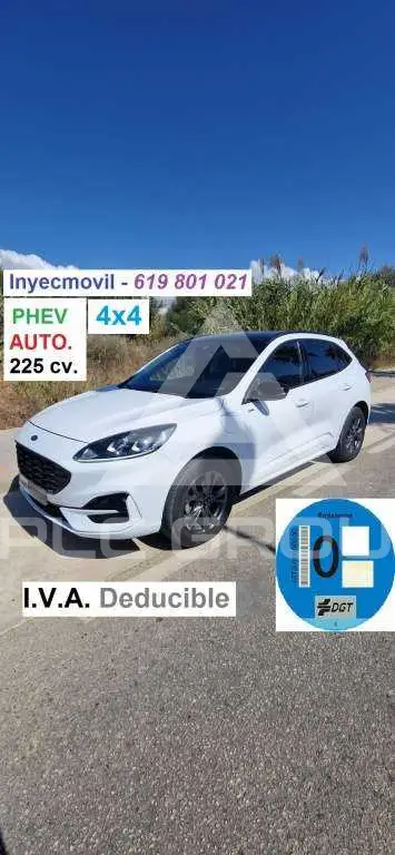 2022 Ford Kuga