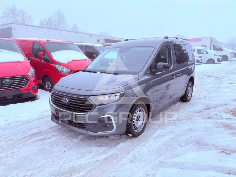 2022 Ford Tourneo