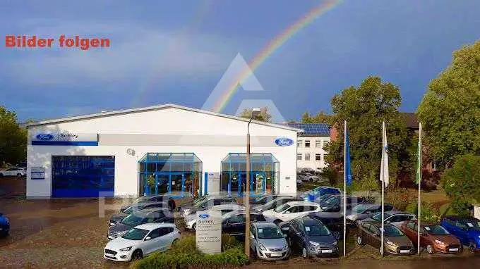 2022 Ford Tourneo