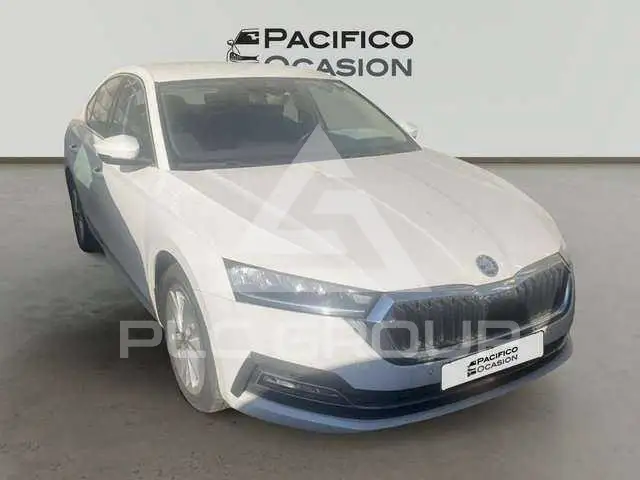 2023 Skoda Octavia