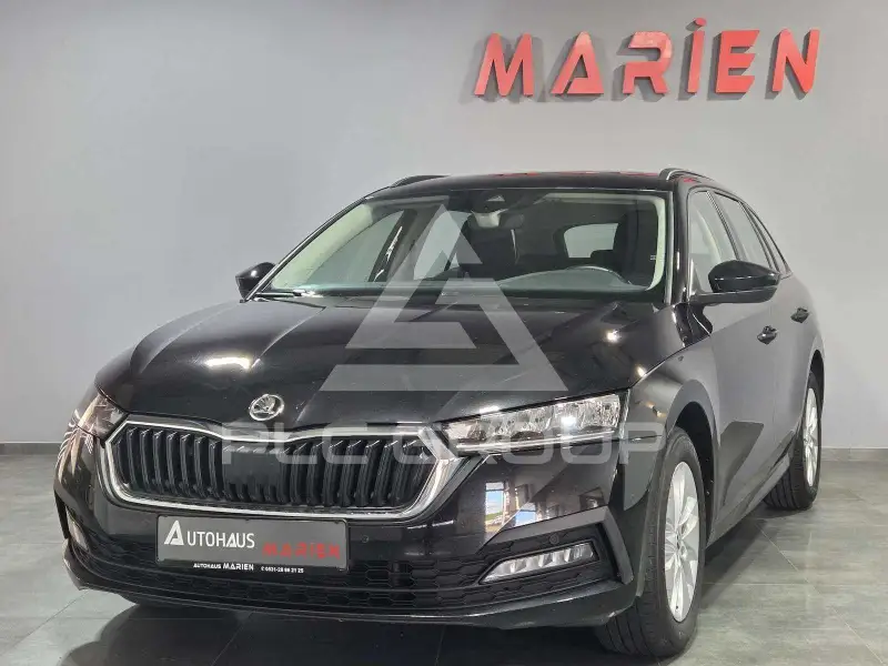 2023 Skoda Octavia