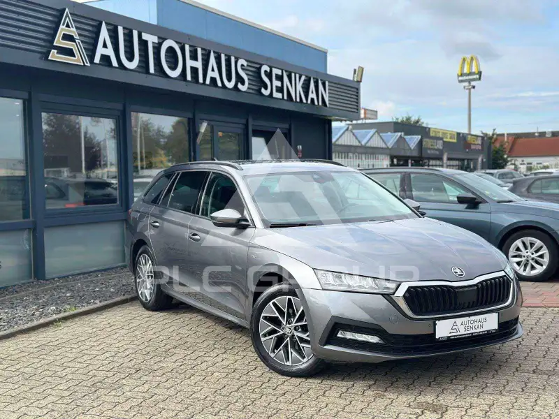 2023 Skoda Octavia