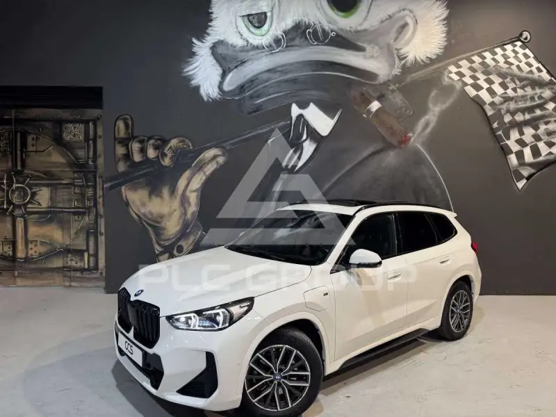 2023 BMW X1