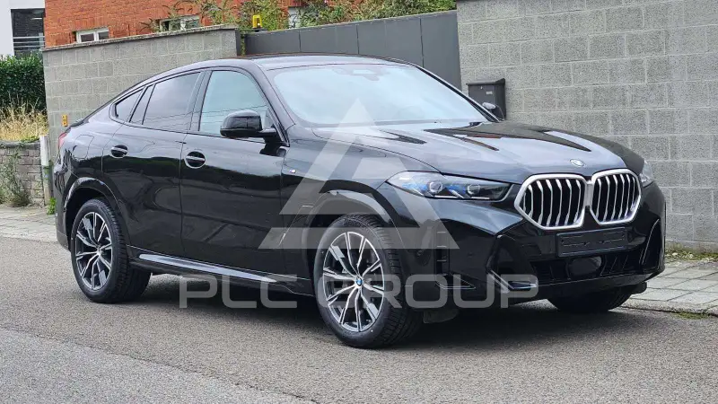 2023 BMW X6