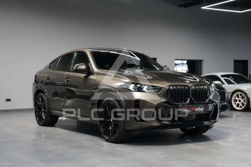2023 BMW X6