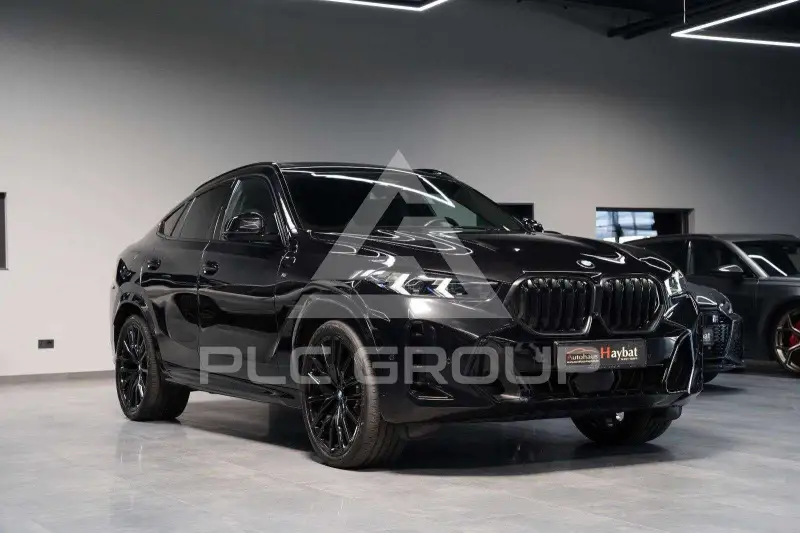 2023 BMW X6