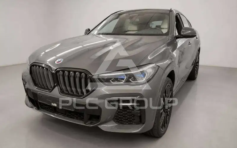 2023 BMW X6