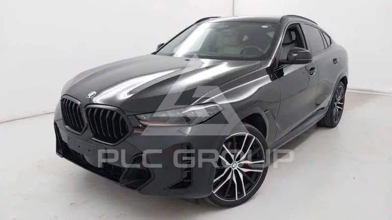 2023 BMW X6