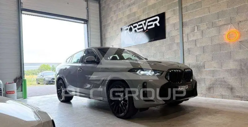 2023 BMW X6