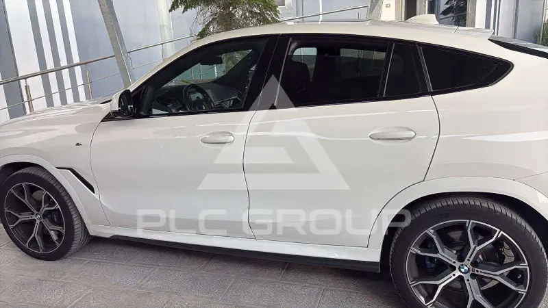 2023 BMW X6