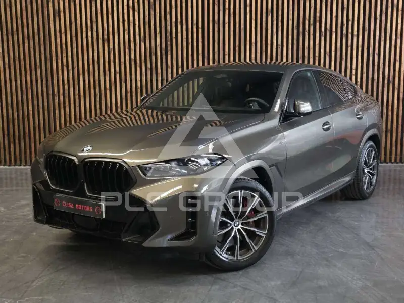 2023 BMW X6