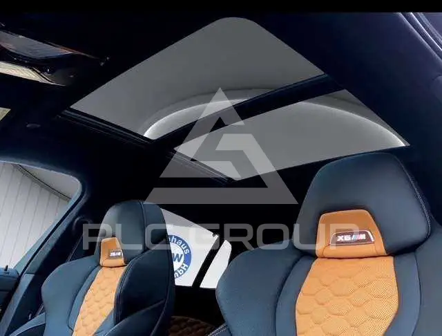 2023 BMW X6