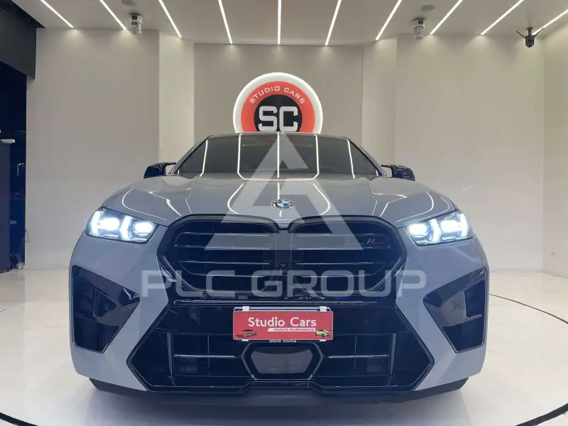 2023 BMW X6