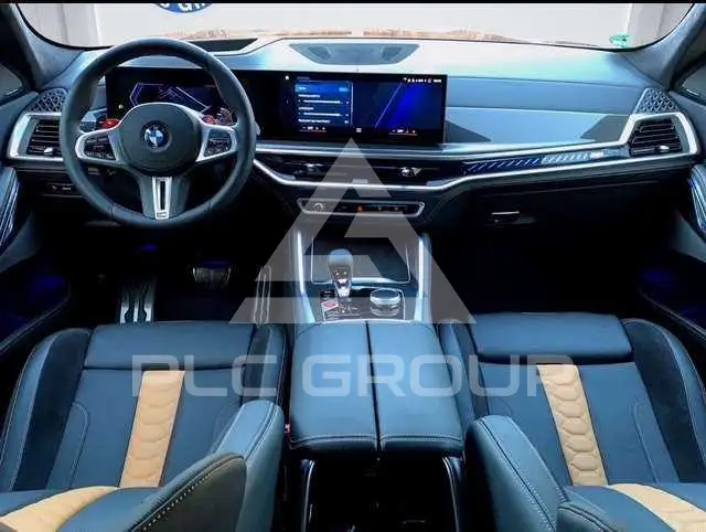 2023 BMW X6