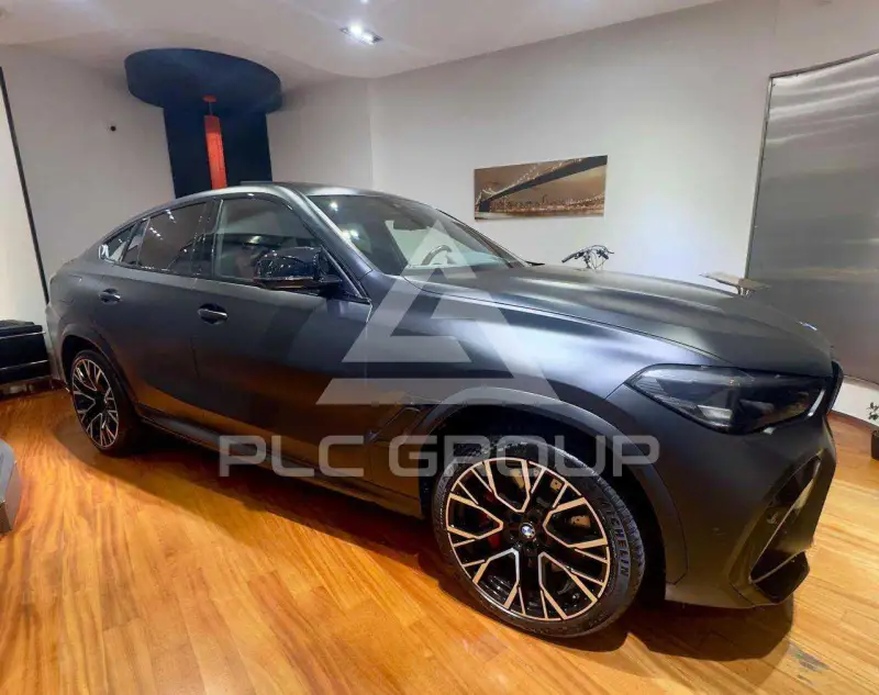 2023 BMW X6