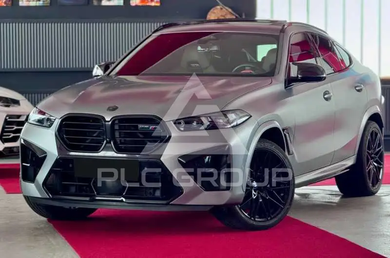 2023 BMW X6