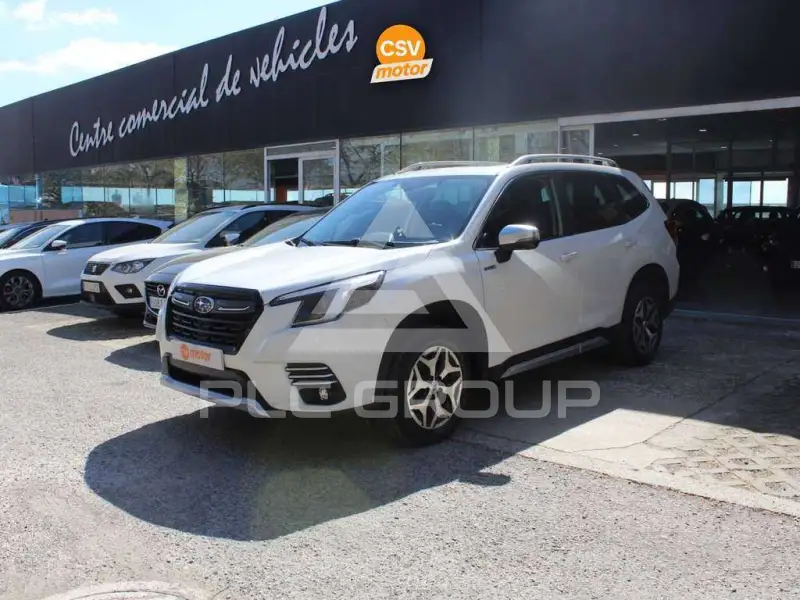 2023 Subaru Forester