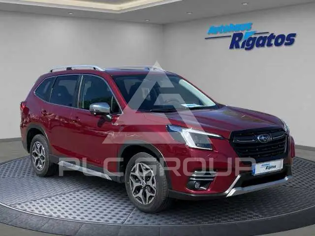 2023 Subaru Forester
