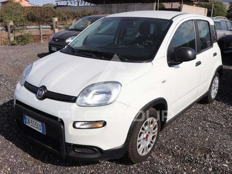 2023 Fiat Panda