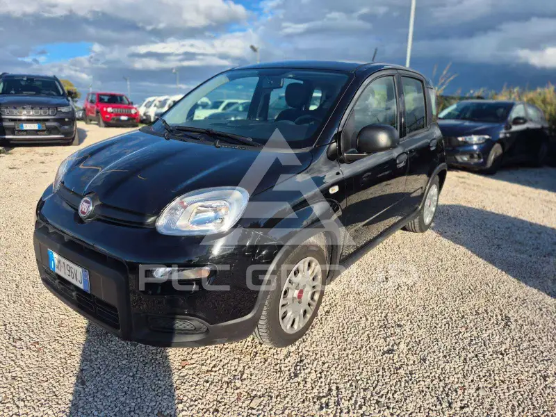 2023 Fiat Panda