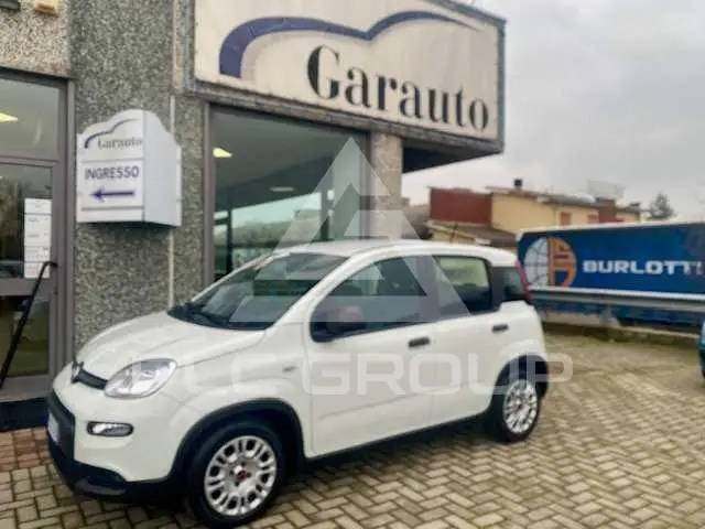 2023 Fiat Panda