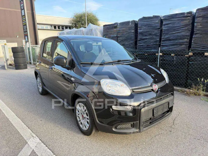2023 Fiat Panda