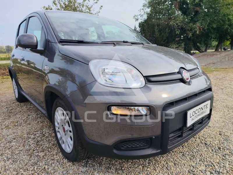 2023 Fiat Panda