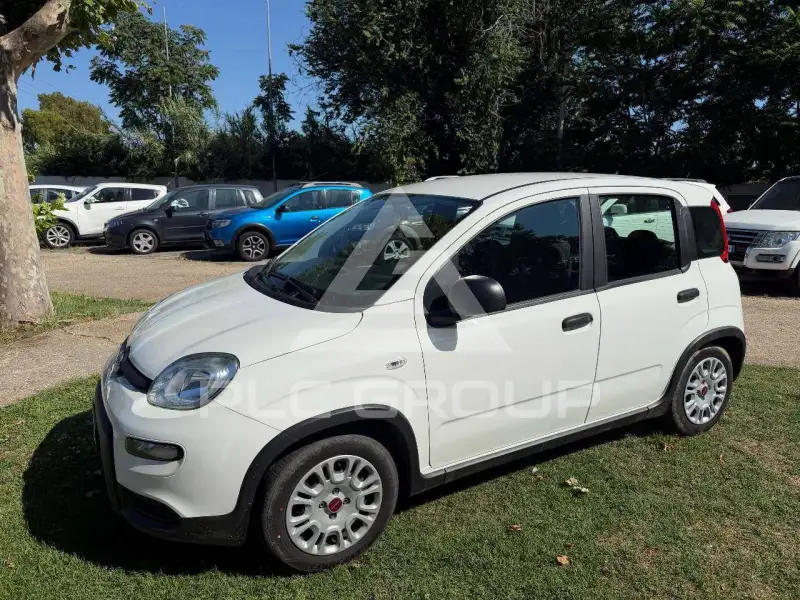 2023 Fiat Panda