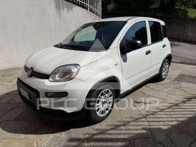 2023 Fiat Panda