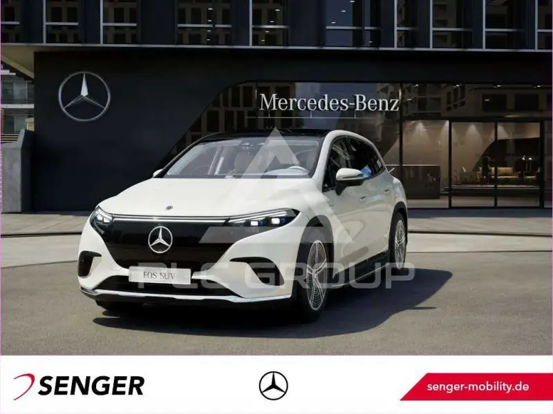 2023 Mercedes Benz Eqs