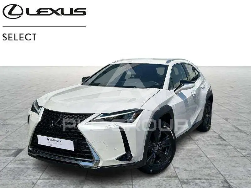 2023 Lexus UX250