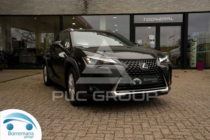2023 Lexus UX250
