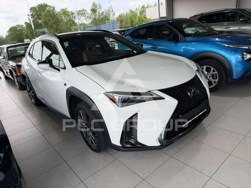 2023 Lexus UX250