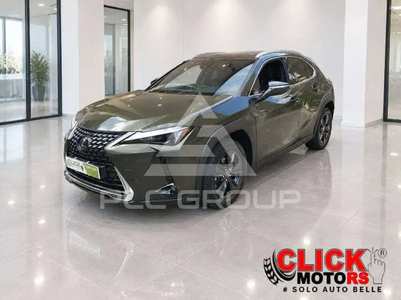 2023 Lexus UX250