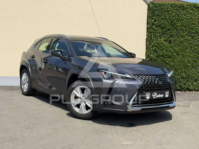 2023 Lexus UX250