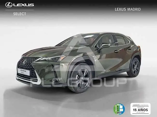 2023 Lexus UX250