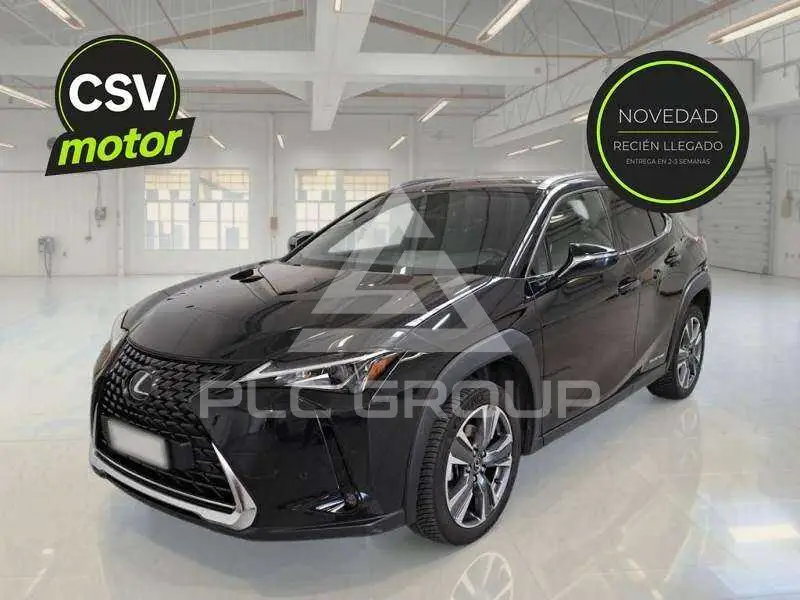 2023 Lexus UX250