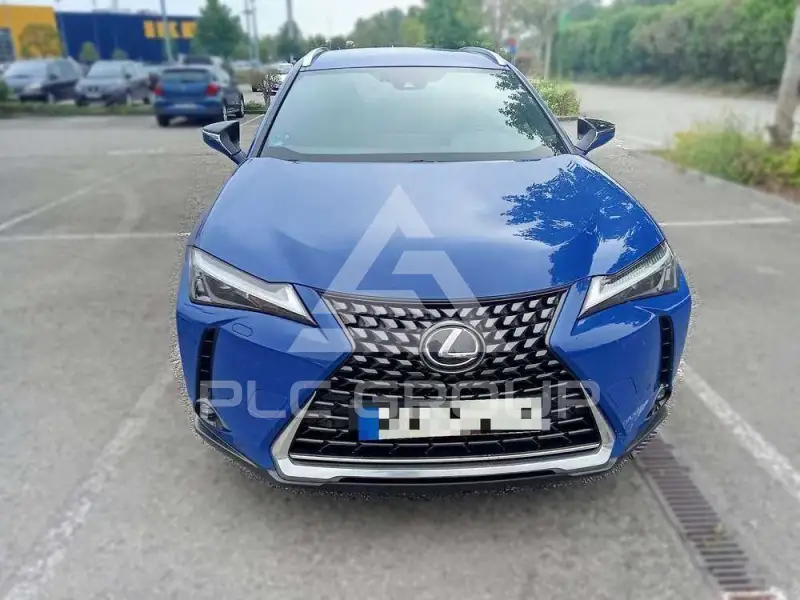 2023 Lexus UX250