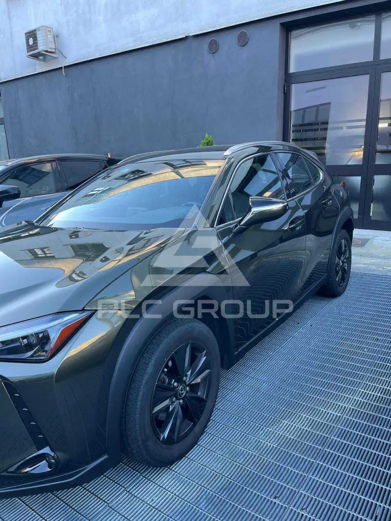 2023 Lexus UX250