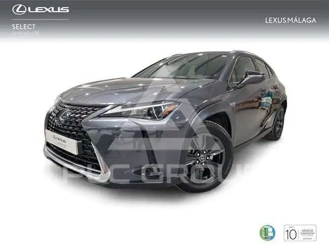 2023 Lexus UX250