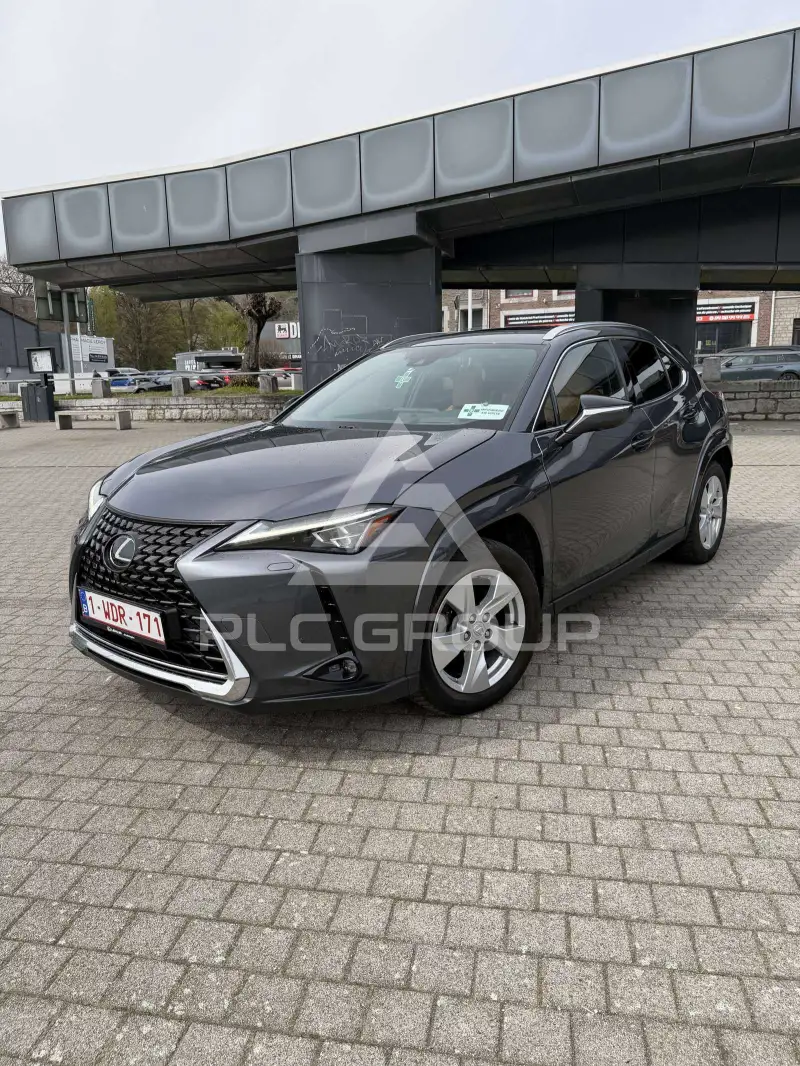 2023 Lexus UX250