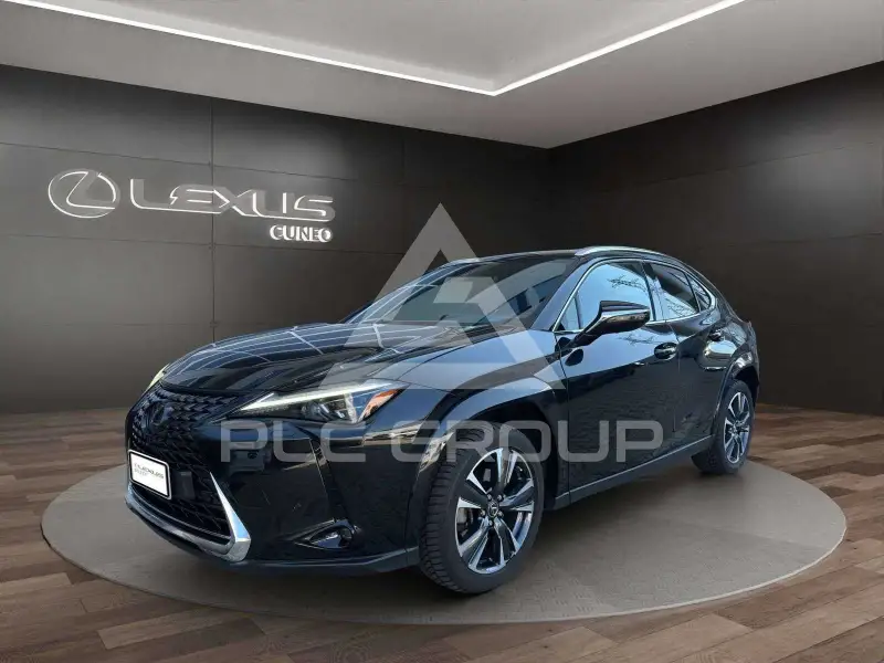 2023 Lexus UX250