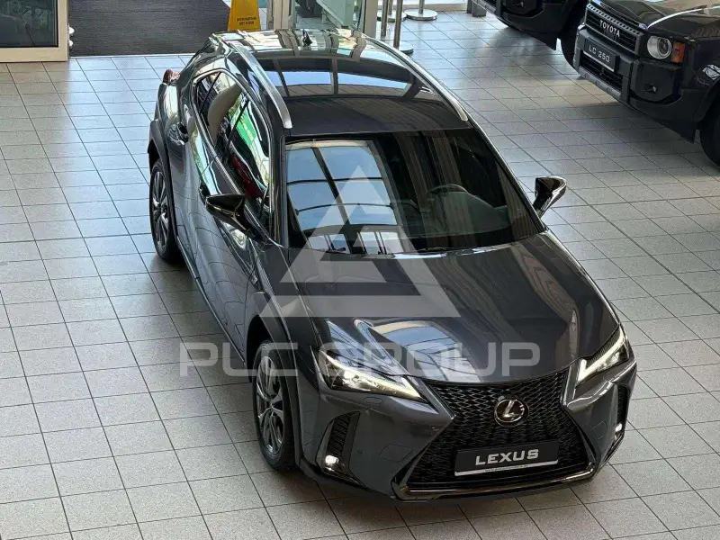2023 Lexus UX250