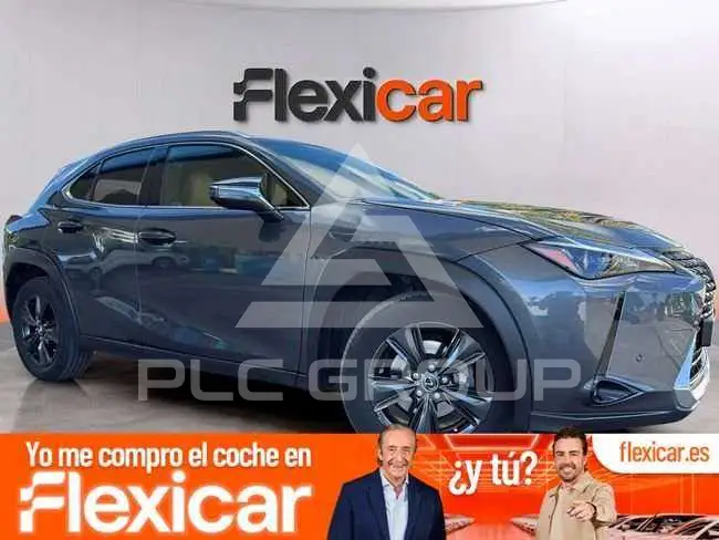 2023 Lexus UX250